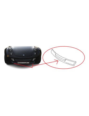 Frontspoiler unten Smart Roadster