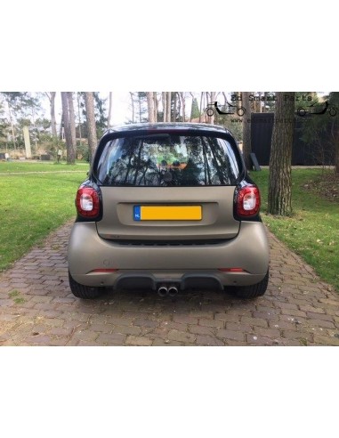 Echte S-Mann ForTwo (453) DIFFUSER