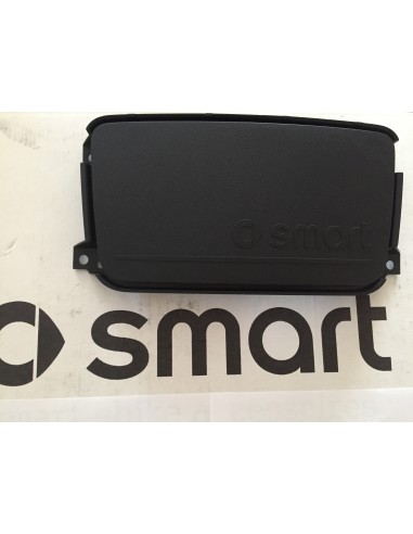 Moldura decorativa para la cubierta del espacio de la radio del OEM Smart ForTwo 451