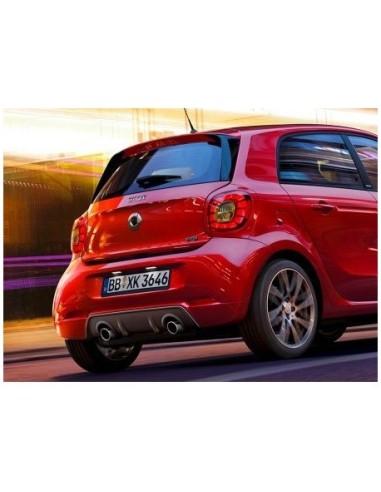 Smart Fortwo / Forfour 453 Achterspoiler in kleur gespoten