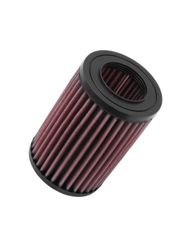 Filtro aria sostitutivo K&N adatto a tutti i modelli 450 fortwo 0.7 e roadster 452