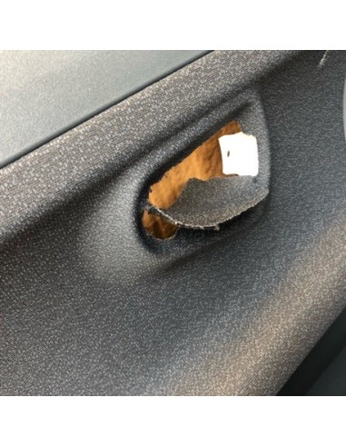 Ensemble de panneaux de porte Smart Roadster Gris gauche et droit